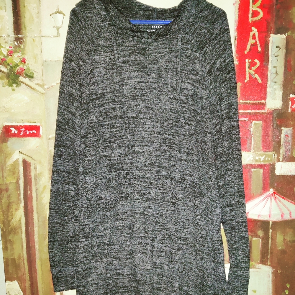 Torrid hoodie
